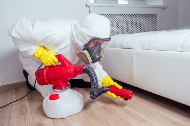Best Bed Bug Extermination  in Morn, GA