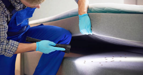 Best Ant Control Services  in Morn, GA