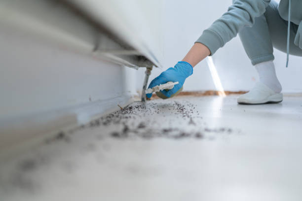 Trusted Morgan, GA Pest Control Experts